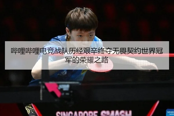 哔哩哔哩电竞战队历经艰辛终夺无畏契约世界冠军的荣耀之路