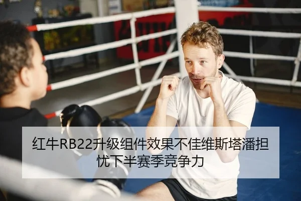 红牛RB22升级组件效果不佳维斯塔潘担忧下半赛季竞争力